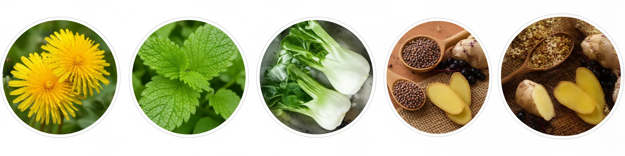 primebiome ingredients